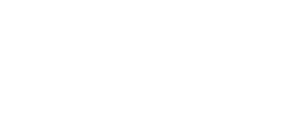 Fuerza Migrante